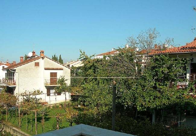 Apartment in Rovinj - Apartment in Rovinj with Terrace, Air condition, WIFI, Washing machine (3482-5) Apartment in Rovinj - Apartment in Rovinj with Terrace, Air condition, WIFI, Washing machine (3482-5)