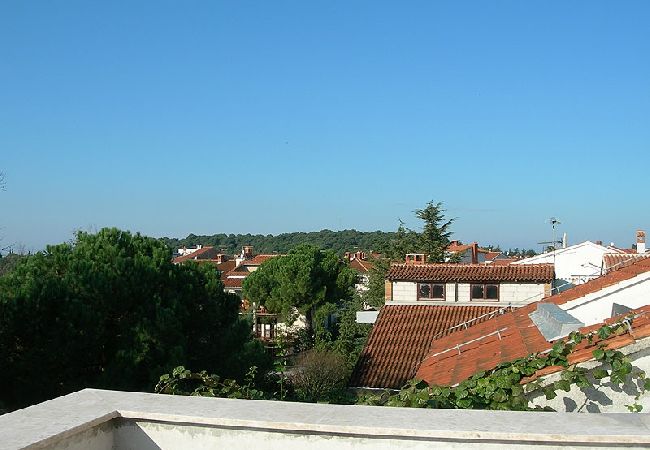 Apartment in Rovinj - Apartment in Rovinj with Seaview, Balcony, Air condition, WIFI (3482-8) Apartment in Rovinj - Apartment in Rovinj with Seaview, Balcony, Air condition, WIFI (3482-8)