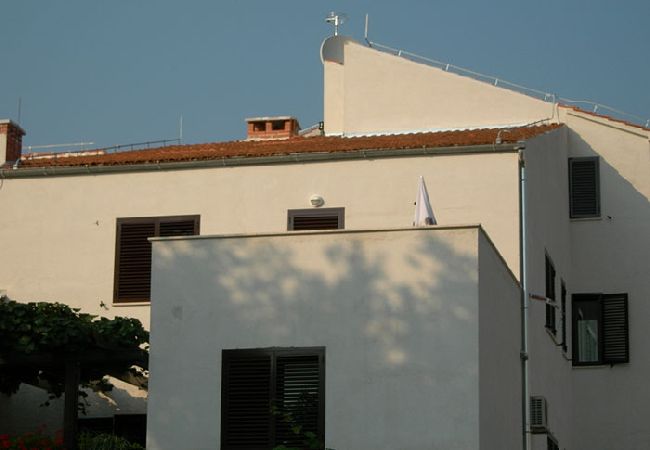 Apartment in Rovinj - Apartment in Rovinj with Seaview, Balcony, Air condition, WIFI (3482-8) Apartment in Rovinj - Apartment in Rovinj with Seaview, Balcony, Air condition, WIFI (3482-8)