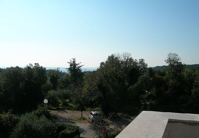 Apartment in Rovinj - Apartment in Rovinj with Seaview, Balcony, Air condition, WIFI (3482-8) Apartment in Rovinj - Apartment in Rovinj with Seaview, Balcony, Air condition, WIFI (3482-8)