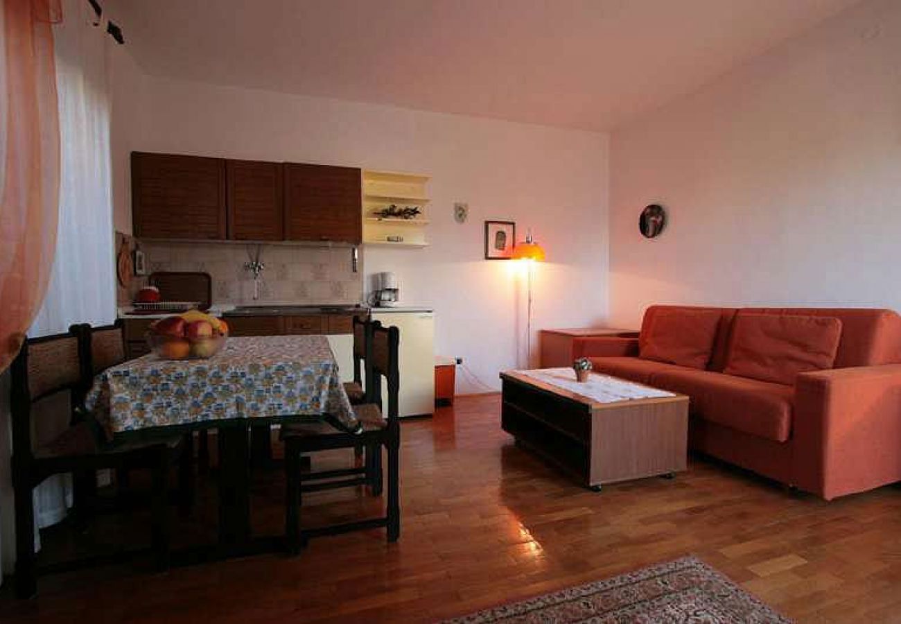 Studio in Rovinj - Studio apartment in Rovinj with Terrace, Air condition, WIFI, Washing machine (3482-12)