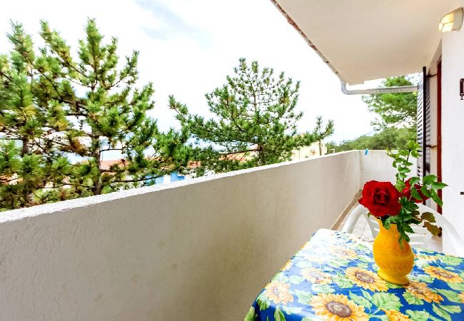 Studio in Baška - Studio apartment in Baška with Seaview, Balcony, Air condition, WIFI (3494-2) Studio in Baška - Studio apartment in Baška with Seaview, Balcony, Air condition, WIFI (3494-2)