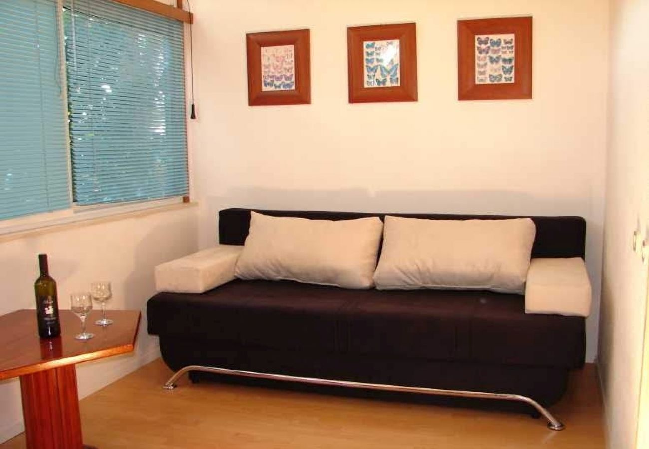 Apartment in Brela - Apartment in Brela with Seaview, Terrace, Air condition, WIFI (3524-1)