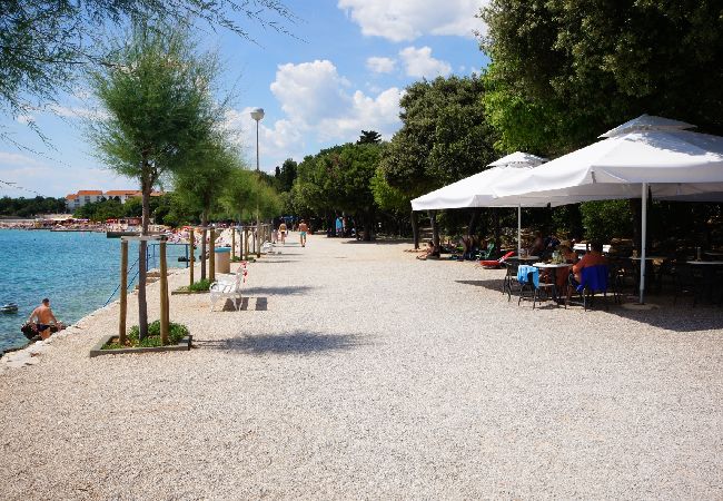 Apartment in Povile - Apartment in Povile with Terrace, Air condition, WIFI, Washing machine (3542-2) Apartment in Povile - Apartment in Povile with Terrace, Air condition, WIFI, Washing machine (3542-2)