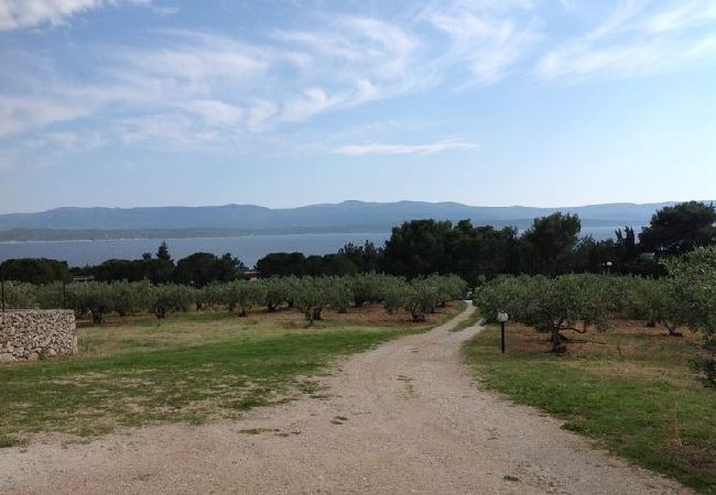 House in Bol - Holiday Home in Bol with Seaview, Terrace, Air condition, WIFI (3543-1) House in Bol - Holiday Home in Bol with Seaview, Terrace, Air condition, WIFI (3543-1)
