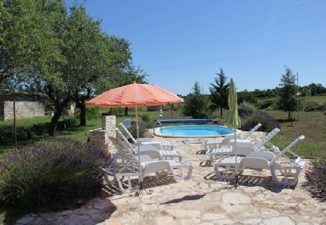 House in Vodnjan - Holiday Home in Vodnjan with Terrace, Air condition, WIFI, Washing machine (3556-1) House in Vodnjan - Holiday Home in Vodnjan with Terrace, Air condition, WIFI, Washing machine (3556-1)