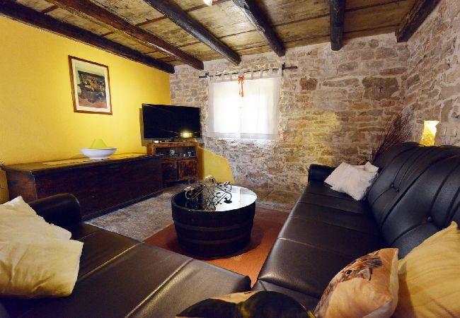House in Vodnjan - Holiday Home in Vodnjan with Terrace, Air condition, WIFI, Washing machine (3556-1) House in Vodnjan - Holiday Home in Vodnjan with Terrace, Air condition, WIFI, Washing machine (3556-1)
