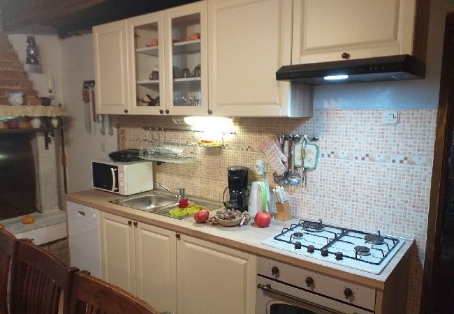 House in Vodnjan - Holiday Home in Vodnjan with Terrace, Air condition, WIFI, Washing machine (3556-1) House in Vodnjan - Holiday Home in Vodnjan with Terrace, Air condition, WIFI, Washing machine (3556-1)