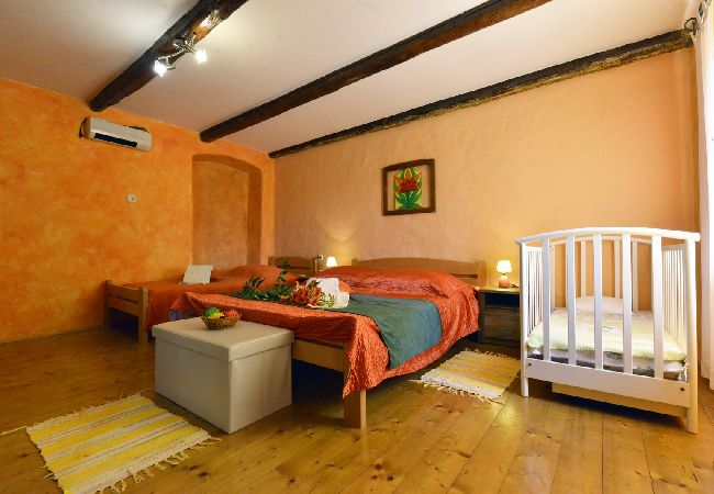 House in Vodnjan - Holiday Home in Vodnjan with Terrace, Air condition, WIFI, Washing machine (3556-1) House in Vodnjan - Holiday Home in Vodnjan with Terrace, Air condition, WIFI, Washing machine (3556-1)