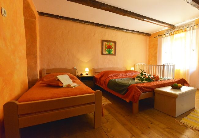 House in Vodnjan - Holiday Home in Vodnjan with Terrace, Air condition, WIFI, Washing machine (3556-1) House in Vodnjan - Holiday Home in Vodnjan with Terrace, Air condition, WIFI, Washing machine (3556-1)