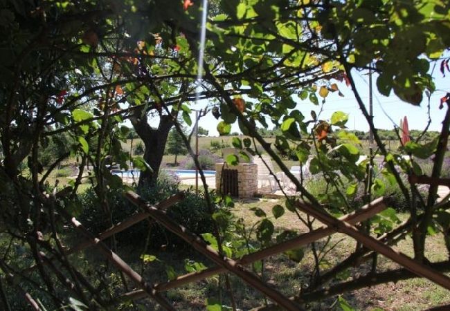 House in Vodnjan - Holiday Home in Vodnjan with Terrace, Air condition, WIFI, Washing machine (3556-1) House in Vodnjan - Holiday Home in Vodnjan with Terrace, Air condition, WIFI, Washing machine (3556-1)