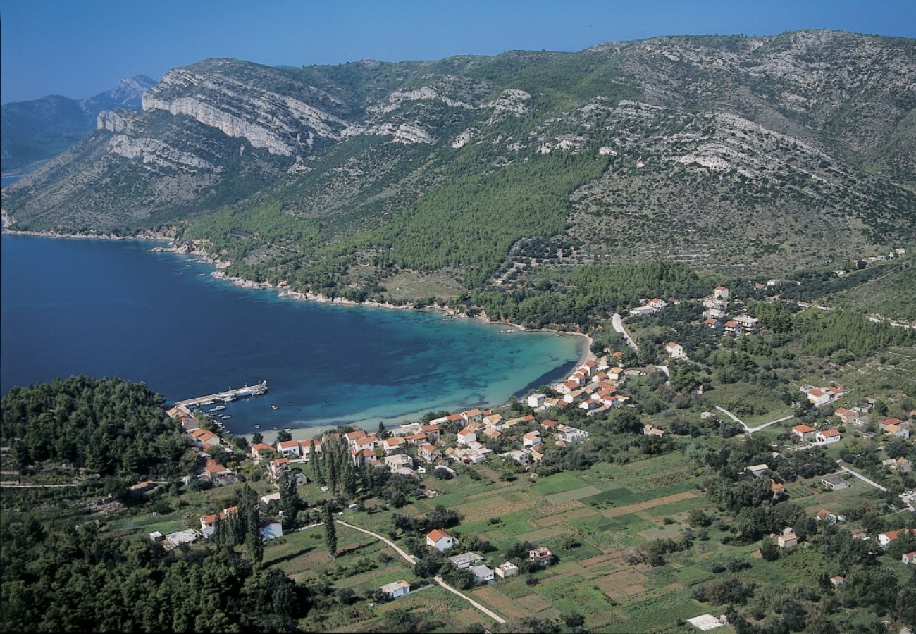 Apartment in Žuljana - Apartment in Žuljana with Seaview, Terrace, WIFI, Dishwasher (3558-2)