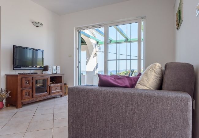 House in Veli Rat - Holiday Home in Veli Rat with Seaview, Terrace, Air condition, WIFI (3559-1) House in Veli Rat - Holiday Home in Veli Rat with Seaview, Terrace, Air condition, WIFI (3559-1)