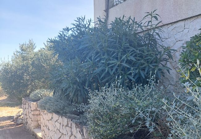 House in Veli Rat - Holiday Home in Veli Rat with Seaview, Terrace, Air condition, WIFI (3559-1) House in Veli Rat - Holiday Home in Veli Rat with Seaview, Terrace, Air condition, WIFI (3559-1)
