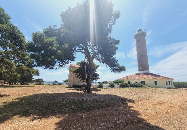 House in Veli Rat - Holiday Home in Veli Rat with Seaview, Terrace, Air condition, WIFI (3559-1) House in Veli Rat - Holiday Home in Veli Rat with Seaview, Terrace, Air condition, WIFI (3559-1)