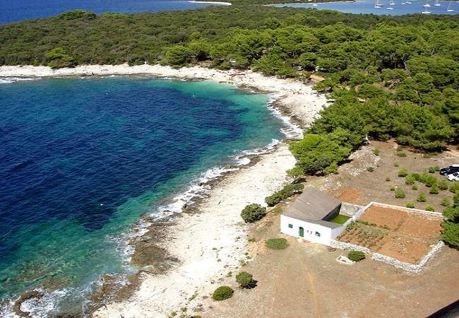 House in Veli Rat - Holiday Home in Veli Rat with Seaview, Terrace, Air condition, WIFI (3559-1) House in Veli Rat - Holiday Home in Veli Rat with Seaview, Terrace, Air condition, WIFI (3559-1)