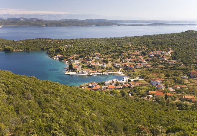 House in Veli Rat - Holiday Home in Veli Rat with Seaview, Terrace, Air condition, WIFI (3559-1) House in Veli Rat - Holiday Home in Veli Rat with Seaview, Terrace, Air condition, WIFI (3559-1)