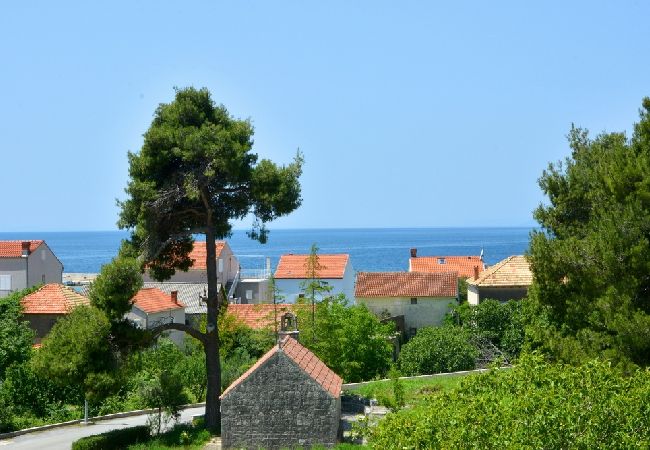 Žuljana - Apartment