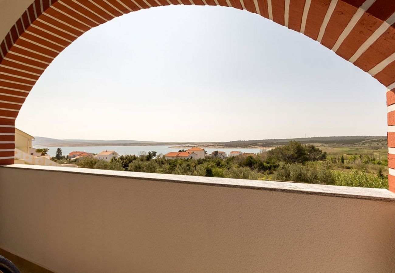 Studio in Novalja - Studio apartment in Novalja with Seaview, Terrace, Air condition, WIFI (3565-4)