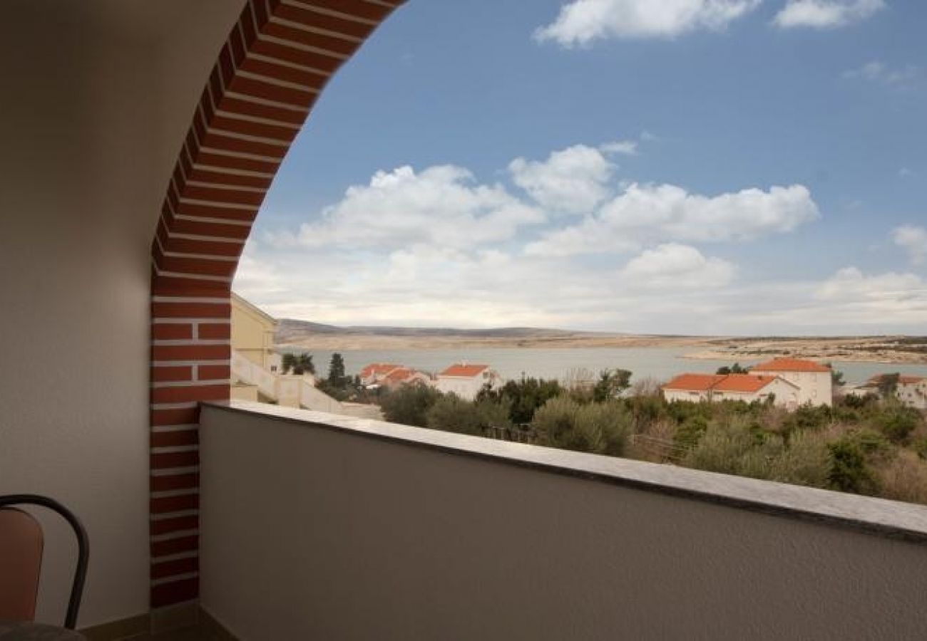 Studio in Novalja - Studio apartment in Novalja with Seaview, Terrace, Air condition, WIFI (3565-8)