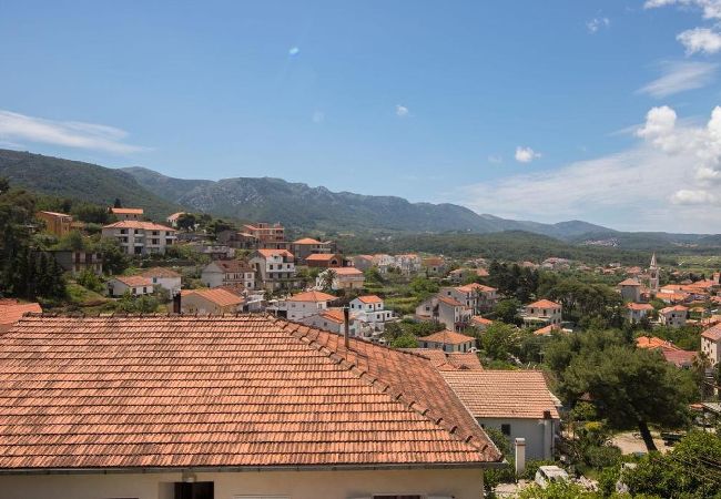 Apartment in Jelsa - Apartment in Jelsa with Balcony, Air condition, WIFI (3621-1) Apartment in Jelsa - Apartment in Jelsa with Balcony, Air condition, WIFI (3621-1)