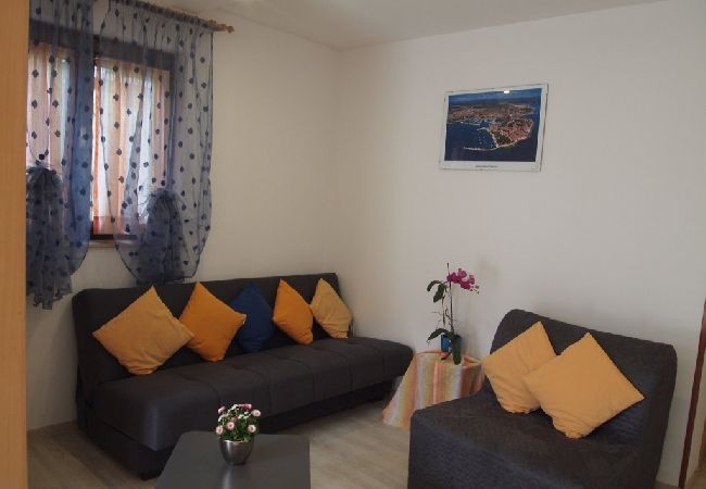 Apartment in Novigrad - Apartment in Novigrad with Terrace, Air condition, WIFI, Washing machine (3663-1) Apartment in Novigrad - Apartment in Novigrad with Terrace, Air condition, WIFI, Washing machine (3663-1)
