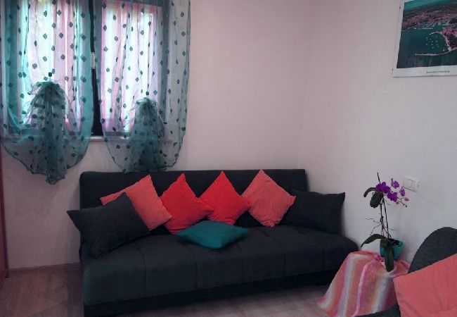 Apartment in Novigrad - Apartment in Novigrad with Terrace, Air condition, WIFI, Washing machine (3663-1) Apartment in Novigrad - Apartment in Novigrad with Terrace, Air condition, WIFI, Washing machine (3663-1)