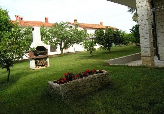 Apartment in Novigrad - Apartment in Novigrad with Terrace, Air condition, WIFI, Washing machine (3663-1) Apartment in Novigrad - Apartment in Novigrad with Terrace, Air condition, WIFI, Washing machine (3663-1)