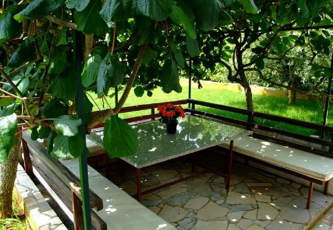 Apartment in Novigrad - Apartment in Novigrad with Terrace, Air condition, WIFI, Washing machine (3663-1) Apartment in Novigrad - Apartment in Novigrad with Terrace, Air condition, WIFI, Washing machine (3663-1)