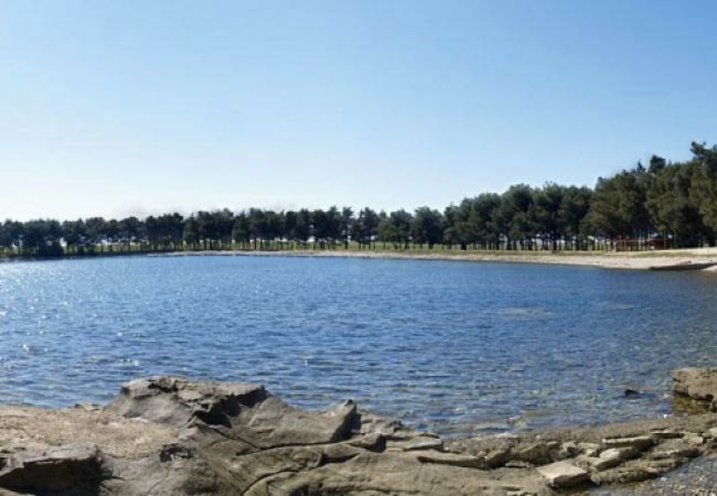 Apartment in Novigrad - Apartment in Novigrad with Terrace, Air condition, WIFI, Washing machine (3663-1) Apartment in Novigrad - Apartment in Novigrad with Terrace, Air condition, WIFI, Washing machine (3663-1)