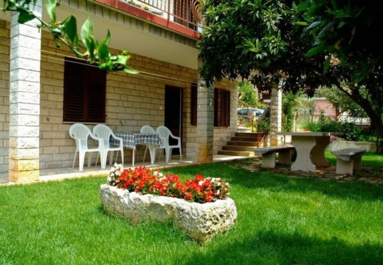 Apartment in Novigrad - Apartment in Novigrad with Terrace, Air condition, WIFI, Washing machine (3663-1)