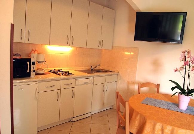 Apartment in Novigrad - Apartment in Novigrad with Terrace, Air condition, WIFI, Washing machine (3663-2) Apartment in Novigrad - Apartment in Novigrad with Terrace, Air condition, WIFI, Washing machine (3663-2)