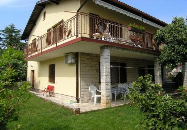 Apartment in Novigrad - Apartment in Novigrad with Terrace, Air condition, WIFI, Washing machine (3663-2) Apartment in Novigrad - Apartment in Novigrad with Terrace, Air condition, WIFI, Washing machine (3663-2)