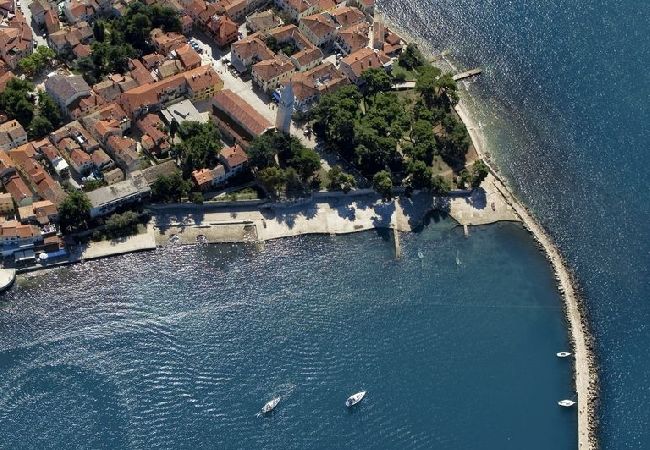 Apartment in Novigrad - Apartment in Novigrad with Terrace, Air condition, WIFI, Washing machine (3663-2) Apartment in Novigrad - Apartment in Novigrad with Terrace, Air condition, WIFI, Washing machine (3663-2)