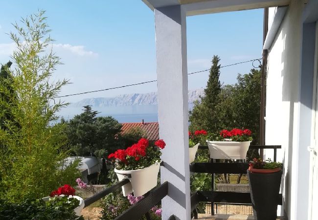 Apartment in Novi Vinodolski - Apartment in Novi Vinodolski with Seaview, Balcony, Air condition, WIFI (3667-1) Apartment in Novi Vinodolski - Apartment in Novi Vinodolski with Seaview, Balcony, Air condition, WIFI (3667-1)