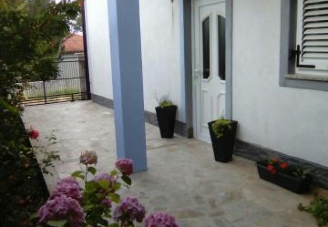 Apartment in Novi Vinodolski - Apartment in Novi Vinodolski with Seaview, Terrace, Air condition, WIFI (3667-2) Apartment in Novi Vinodolski - Apartment in Novi Vinodolski with Seaview, Terrace, Air condition, WIFI (3667-2)