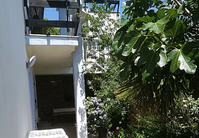 Apartment in Novi Vinodolski - Apartment in Novi Vinodolski with Seaview, Terrace, Air condition, WIFI (3667-2) Apartment in Novi Vinodolski - Apartment in Novi Vinodolski with Seaview, Terrace, Air condition, WIFI (3667-2)