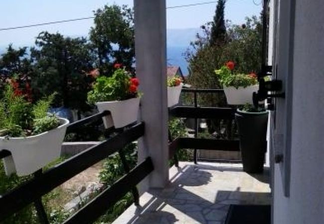 Apartment in Novi Vinodolski - Apartment in Novi Vinodolski with Seaview, Terrace, Air condition, WIFI (3667-2) Apartment in Novi Vinodolski - Apartment in Novi Vinodolski with Seaview, Terrace, Air condition, WIFI (3667-2)