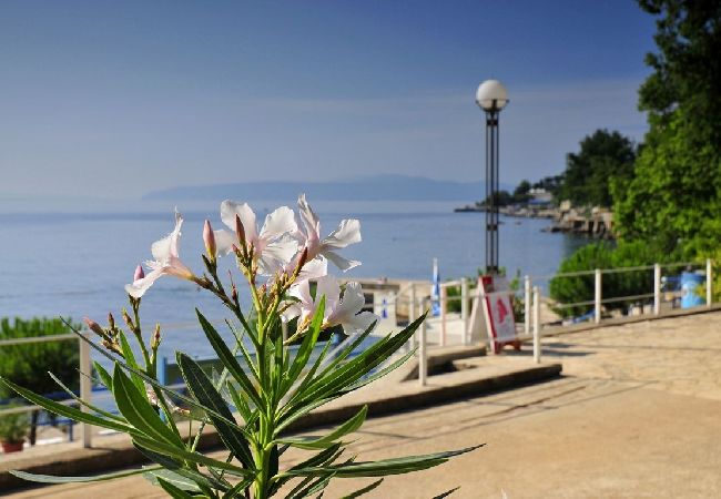 Apartment in Lovran - Apartment in Lovran with Seaview, Terrace, Air condition, WIFI (3698-1) Apartment in Lovran - Apartment in Lovran with Seaview, Terrace, Air condition, WIFI (3698-1)