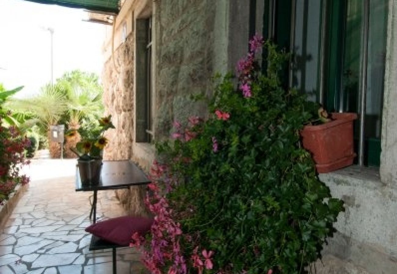 Apartment in Lovran - Apartment in Lovran with Seaview, Terrace, Air condition, WIFI (3698-1)