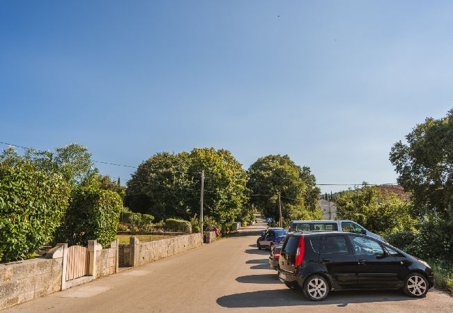 Studio in Žrnovo - Studio apartment in Žrnovo with Terrace, Air condition, WIFI (3709-1) Studio in Žrnovo - Studio apartment in Žrnovo with Terrace, Air condition, WIFI (3709-1)