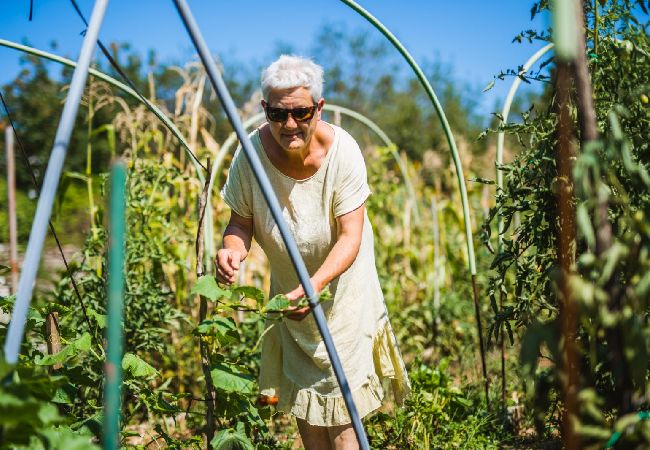 Studio in Žrnovo - Studio apartment in Žrnovo with Terrace, Air condition, WIFI (3709-1) Studio in Žrnovo - Studio apartment in Žrnovo with Terrace, Air condition, WIFI (3709-1)