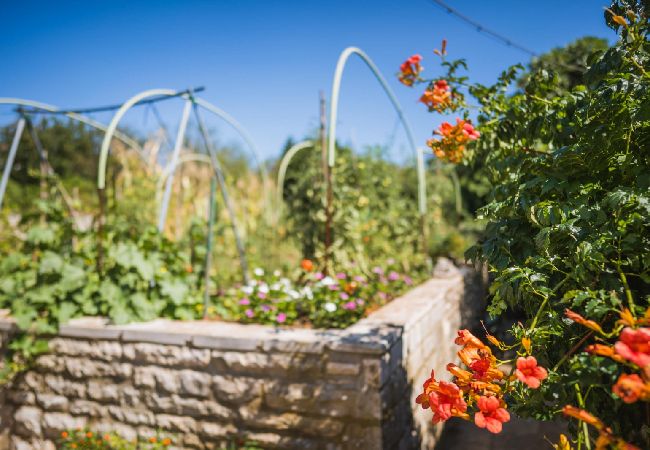 Studio in Žrnovo - Studio apartment in Žrnovo with Terrace, Air condition, WIFI (3709-1) Studio in Žrnovo - Studio apartment in Žrnovo with Terrace, Air condition, WIFI (3709-1)