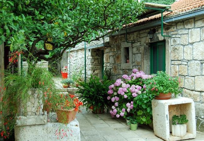 House in Žrnovo - Holiday Home in Žrnovo with Terrace, Air condition, WIFI (3709-2) House in Žrnovo - Holiday Home in Žrnovo with Terrace, Air condition, WIFI (3709-2)
