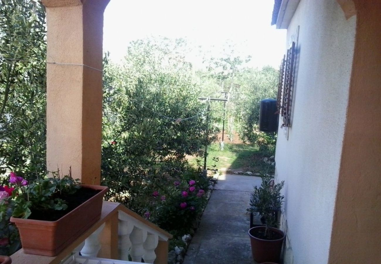 Apartment in Nin - Apartment in Nin with Terrace, Air condition, WIFI (3718-1)