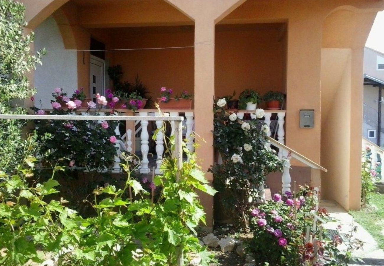 Apartment in Nin - Apartment in Nin with Terrace, Air condition, WIFI (3718-1)