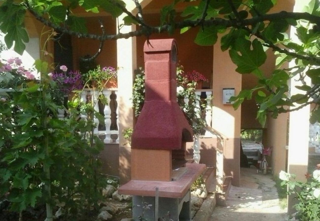 Apartment in Nin - Apartment in Nin with Terrace, Air condition, WIFI (3718-1)