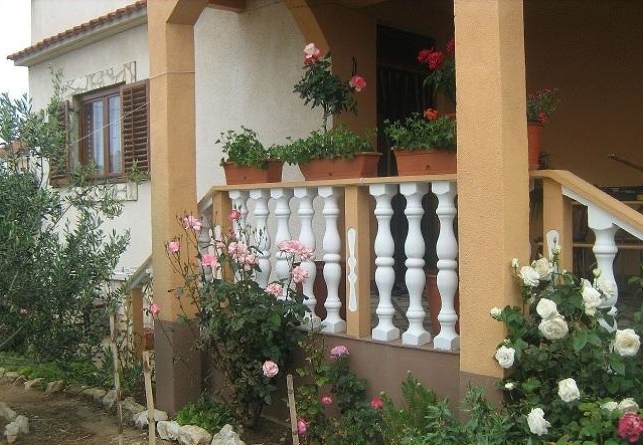 Studio in Nin - Studio apartment in Nin with Balcony, Air condition, WIFI (3718-2)