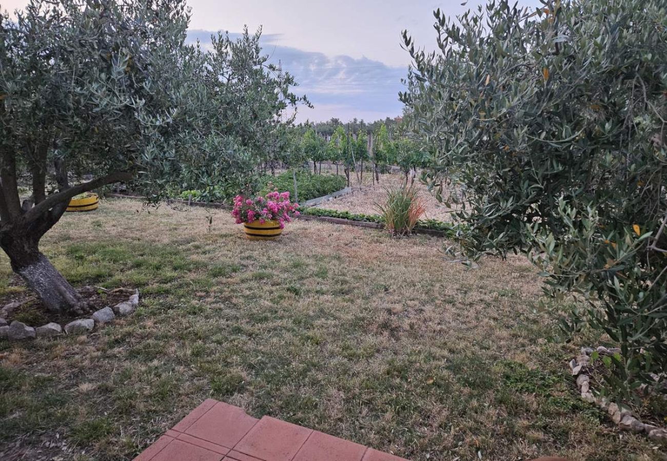Apartment in Nin - Apartment in Nin with Terrace, Air condition, WIFI (3722-2)