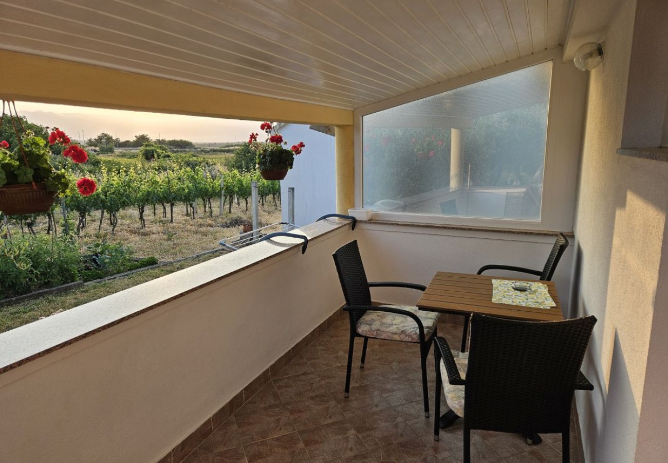 Apartment in Nin - Apartment in Nin with Terrace, Air condition, WIFI (3722-2)